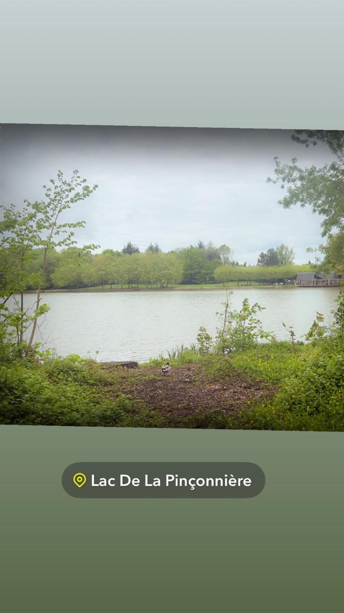 Quiniere - Entre Lac Et Foret - Hebergement Independant Avec Espace Kitchenette Blois Eksteriør bilde